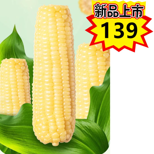 華華白糯玉米1個入  中国东北甜糯玉米 又甜又糯 非转基因 新品特价139原价174