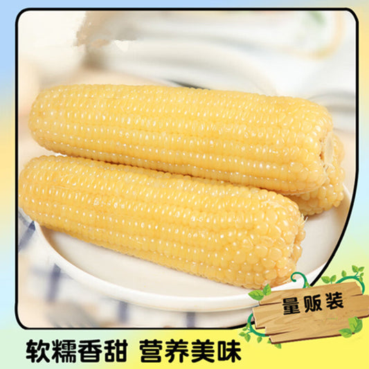 華華白糯玉米1個入*10袋  中国东北甜糯玉米 又甜又糯 非转基因