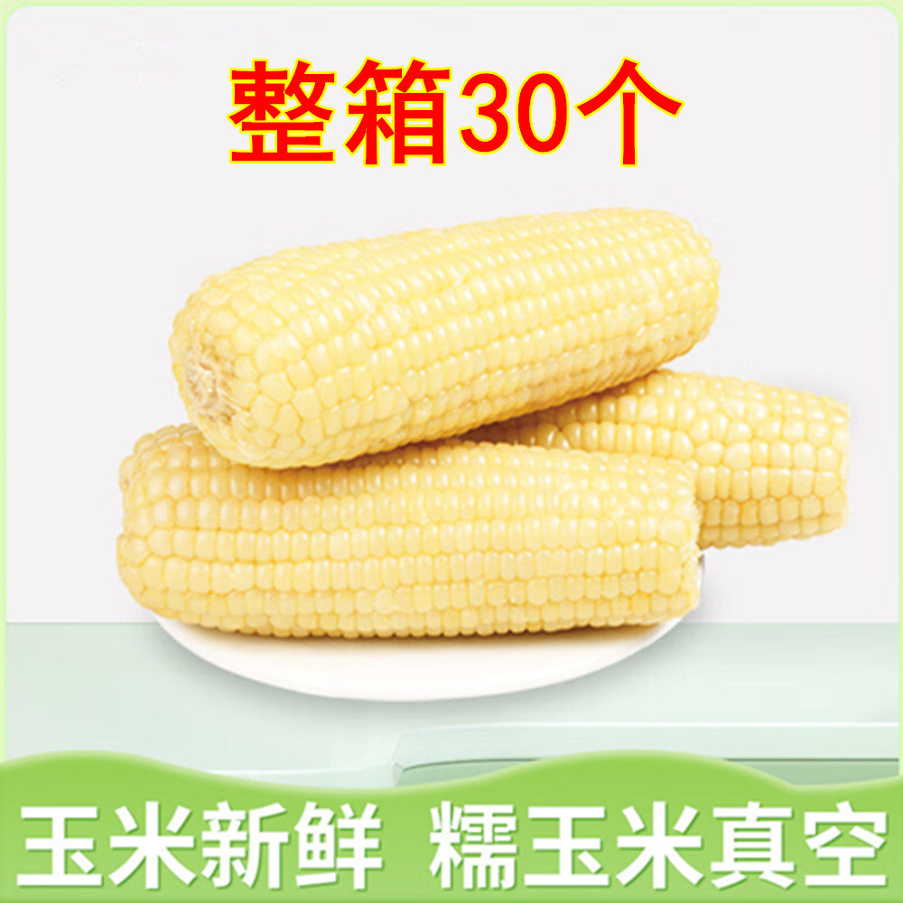 華華白糯玉米1個入  中国东北甜糯玉米 又甜又糯 非转基因 新品特价139原价174