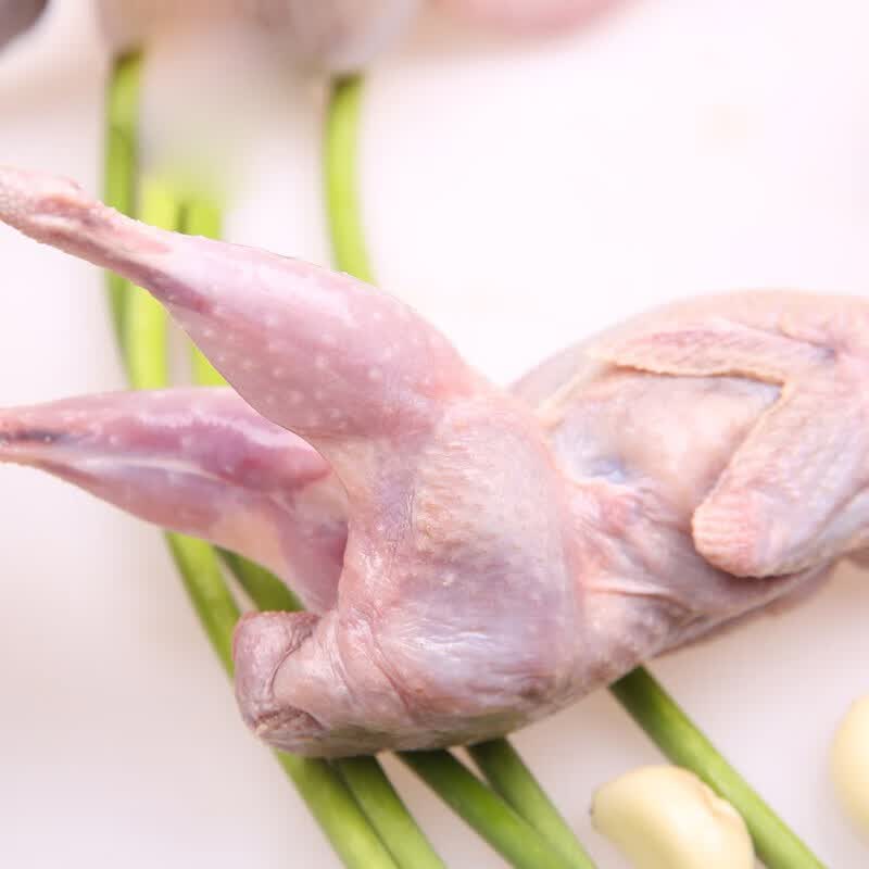 鹌鹑 900g 约8只 大个头
