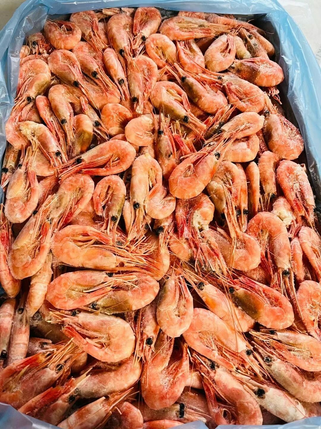 北极冰虾1kg 北极甜蝦　籽蝦 冷凍品  丹麦産特价2460原价2736
