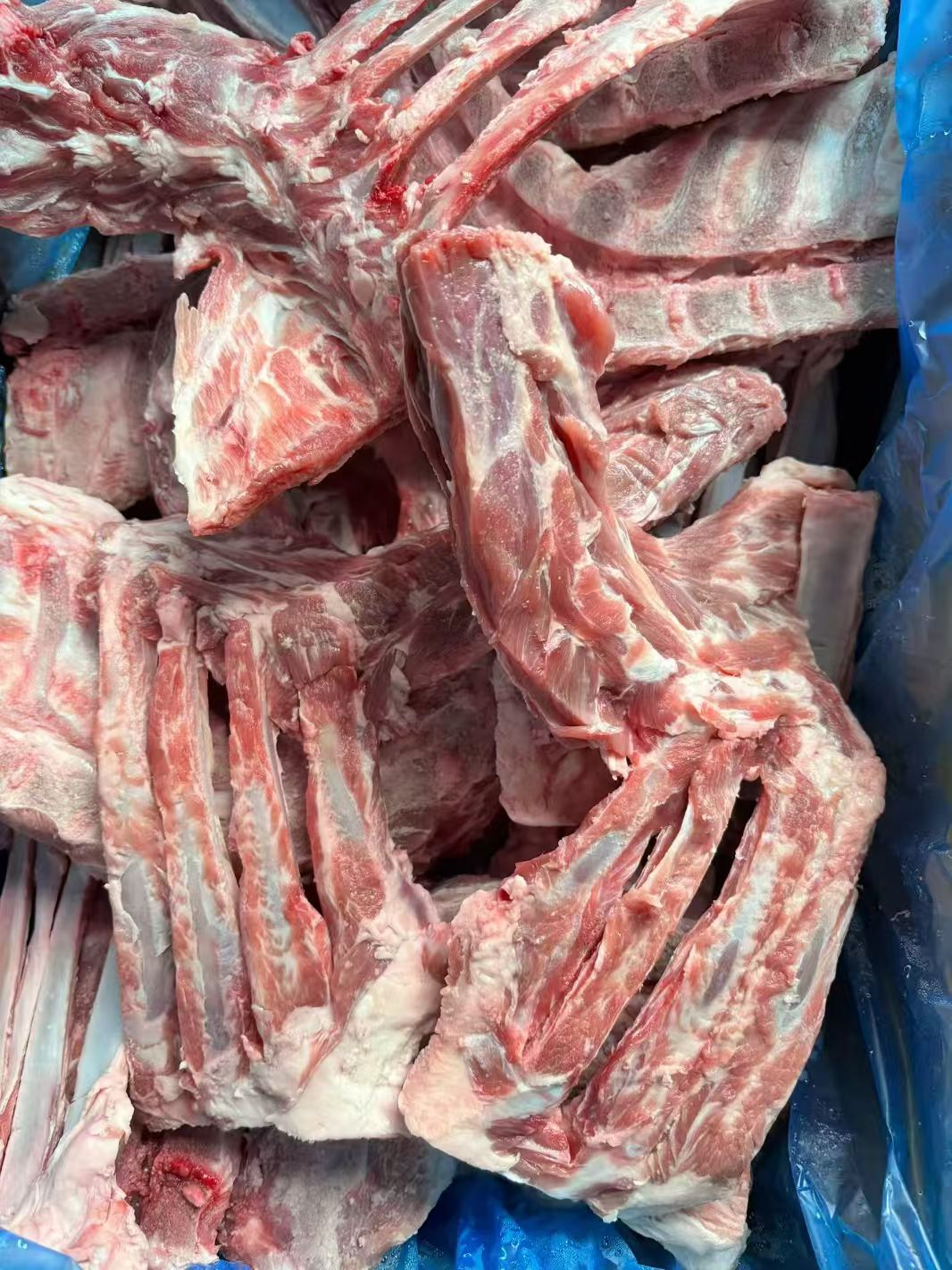 羊蝎子10kg (羊脊骨)羊肩骨大块的不切 澳大利亜産