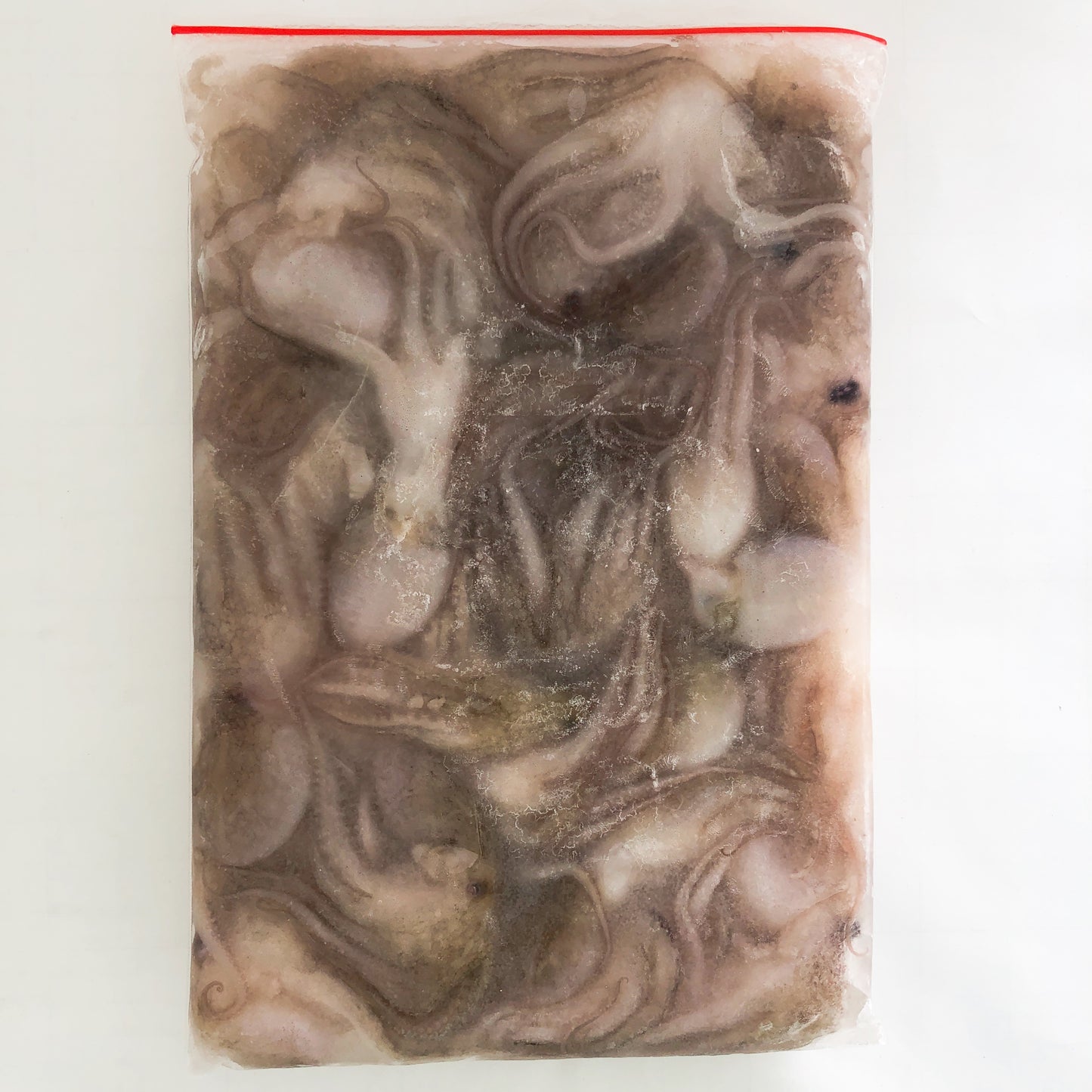 小章魚1KG 小章鱼 八爪鱼