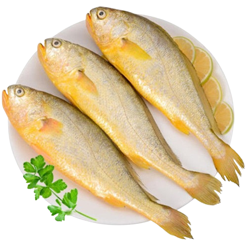 黄花魚350g 冷凍品