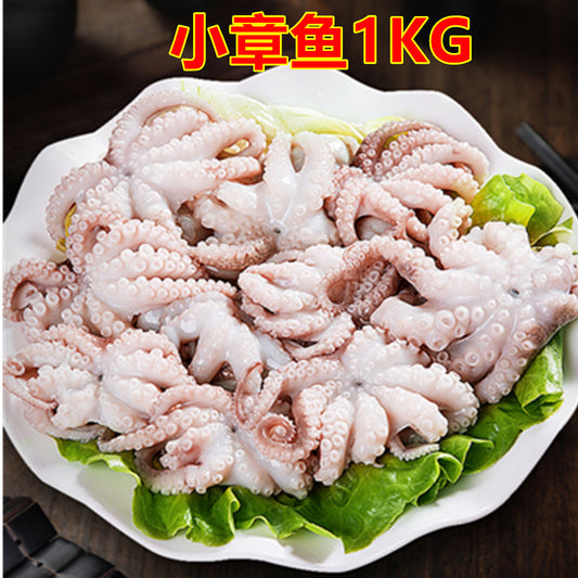小章魚1KG  小章鱼 八爪鱼