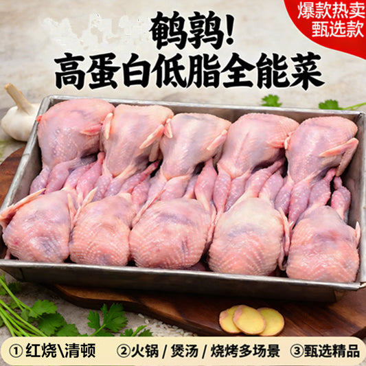 鹌鹑 900g 约8只 大个头