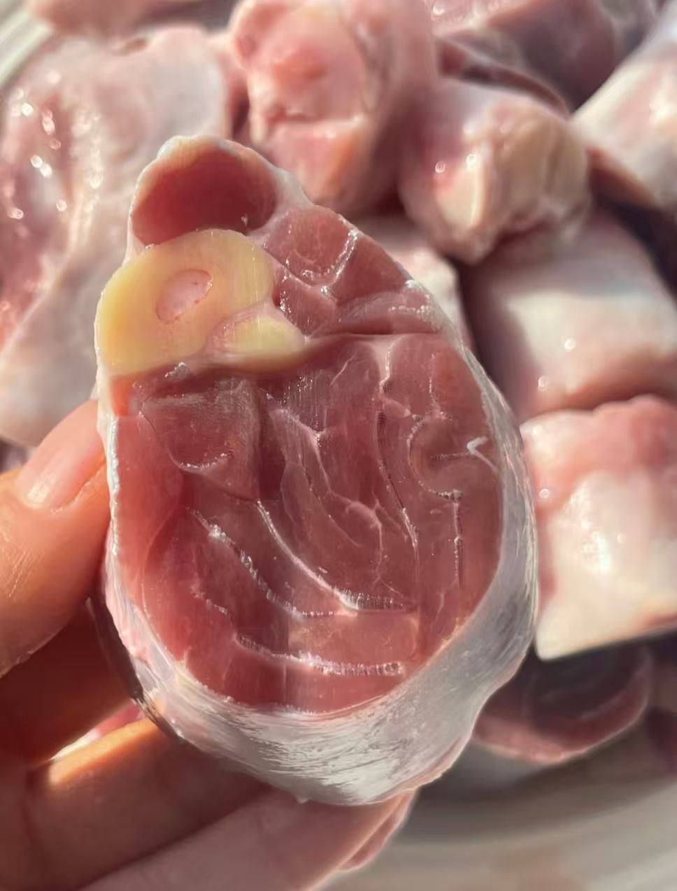 特价中 羊腿肉 800g 特价1642日元（切块小羊腿肉）羊前腿カット 澳大利亜産 冷凍品