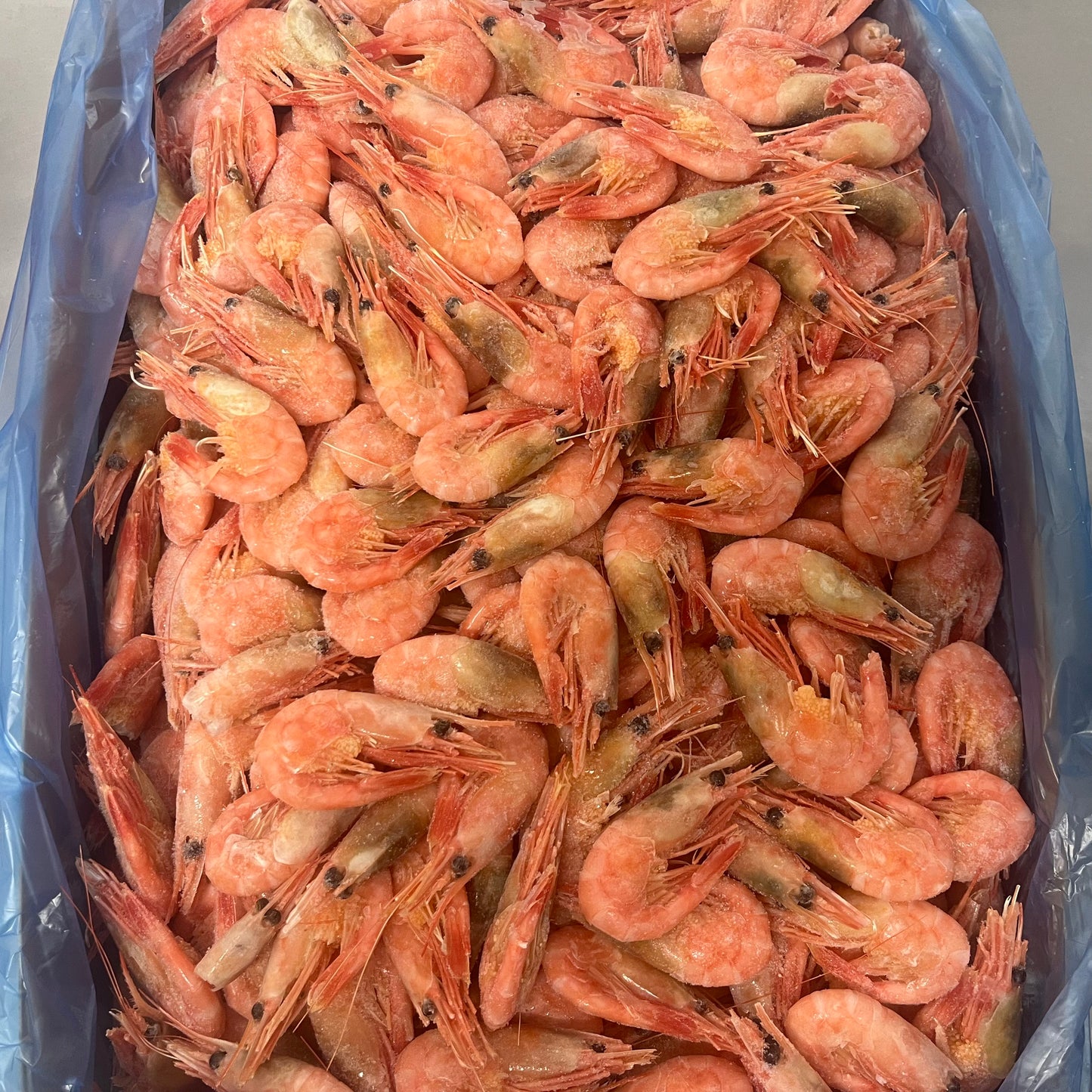 北極冰蝦5KG　甜虾　籽虾