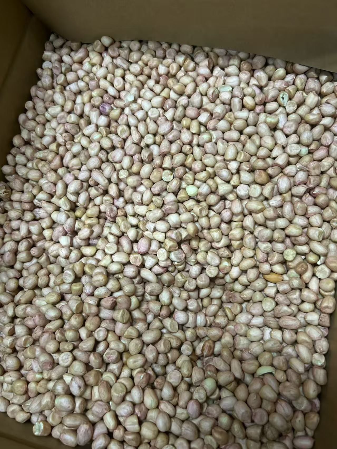 花生米 小粒 500g