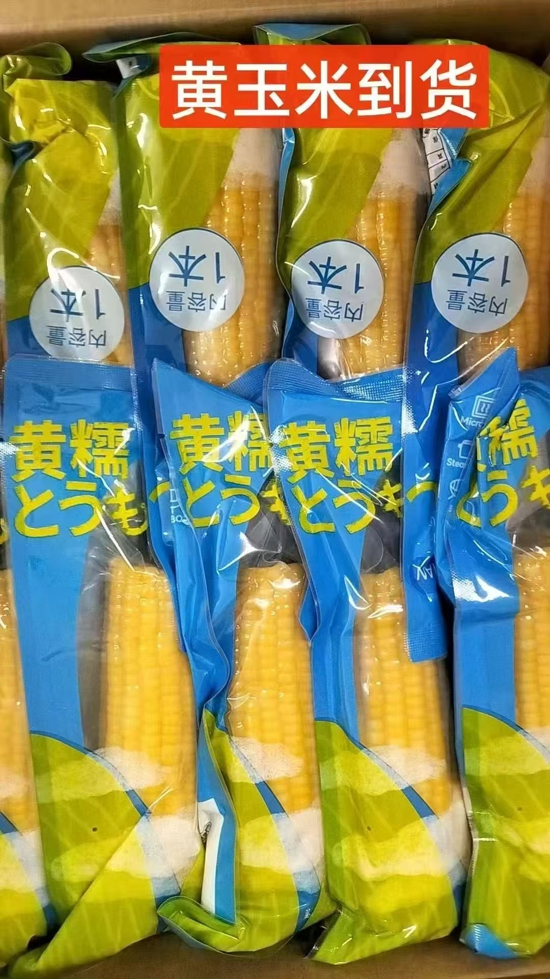 黄糯玉米 1個入*40袋整箱