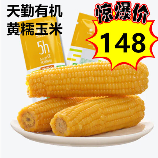 天勤有机黄糯玉米 1個入