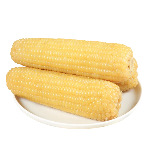 静安 白糯玉米1個入
